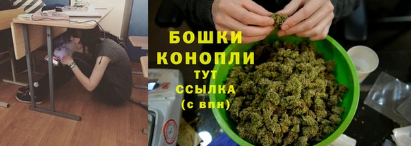 бошки Слюдянка