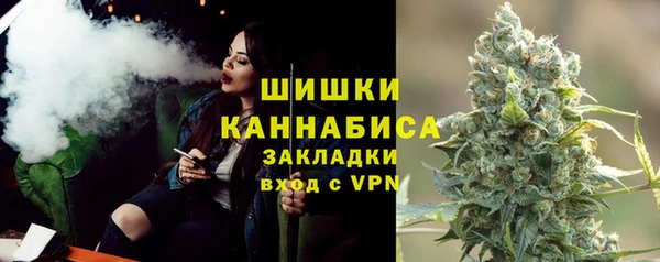 крисы Володарск