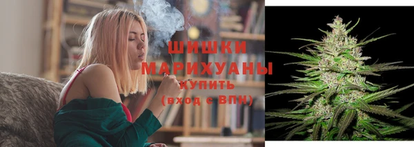 крисы Володарск