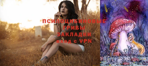 дмт Волосово