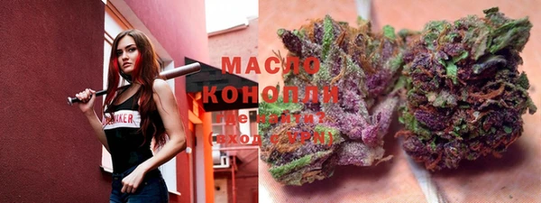 мет Сясьстрой