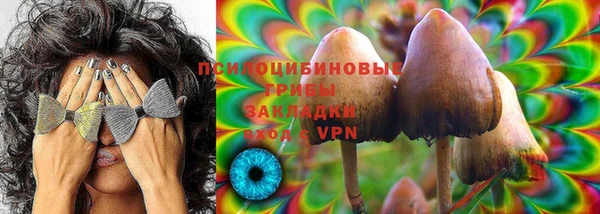 бошки Слюдянка