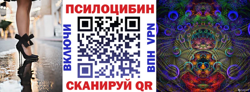 Галлюциногенные грибы Psilocybine cubensis  mega как войти  Каргополь  купить закладку 